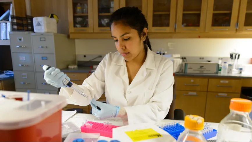 Khan Academy Student