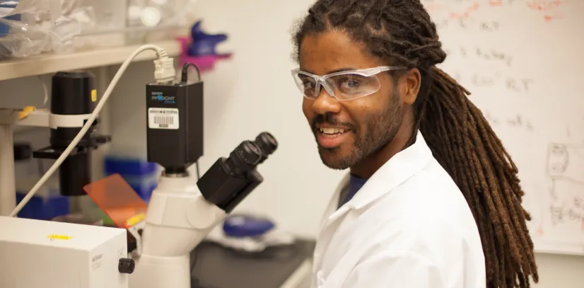 An undergraduate student conducts lab research in the Amgen Scholars program