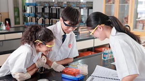 Khan Academy Student