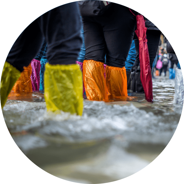 Group 55842xmodified